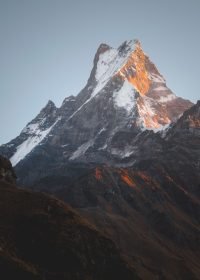 pexels-ashokjkshetri-4032145